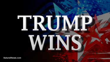 Trump-Wins
